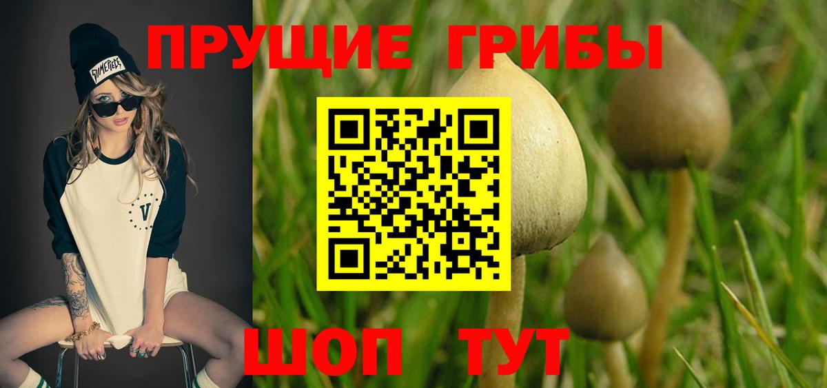 Псилоцибиновые грибы Magic Shrooms Губаха